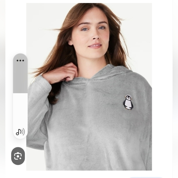 Joyspun NWT gray crop hoodie with Penguin size 0-2 XS - Picture 1 of 11